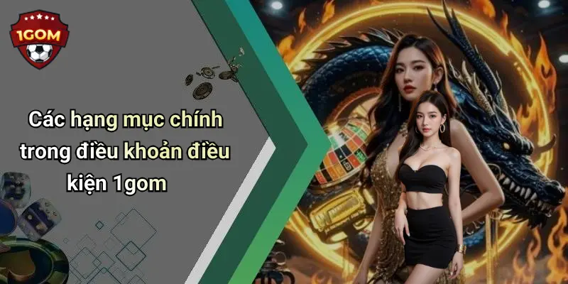 Các hạng mục chính trong điều khoản điều kiện 1gom